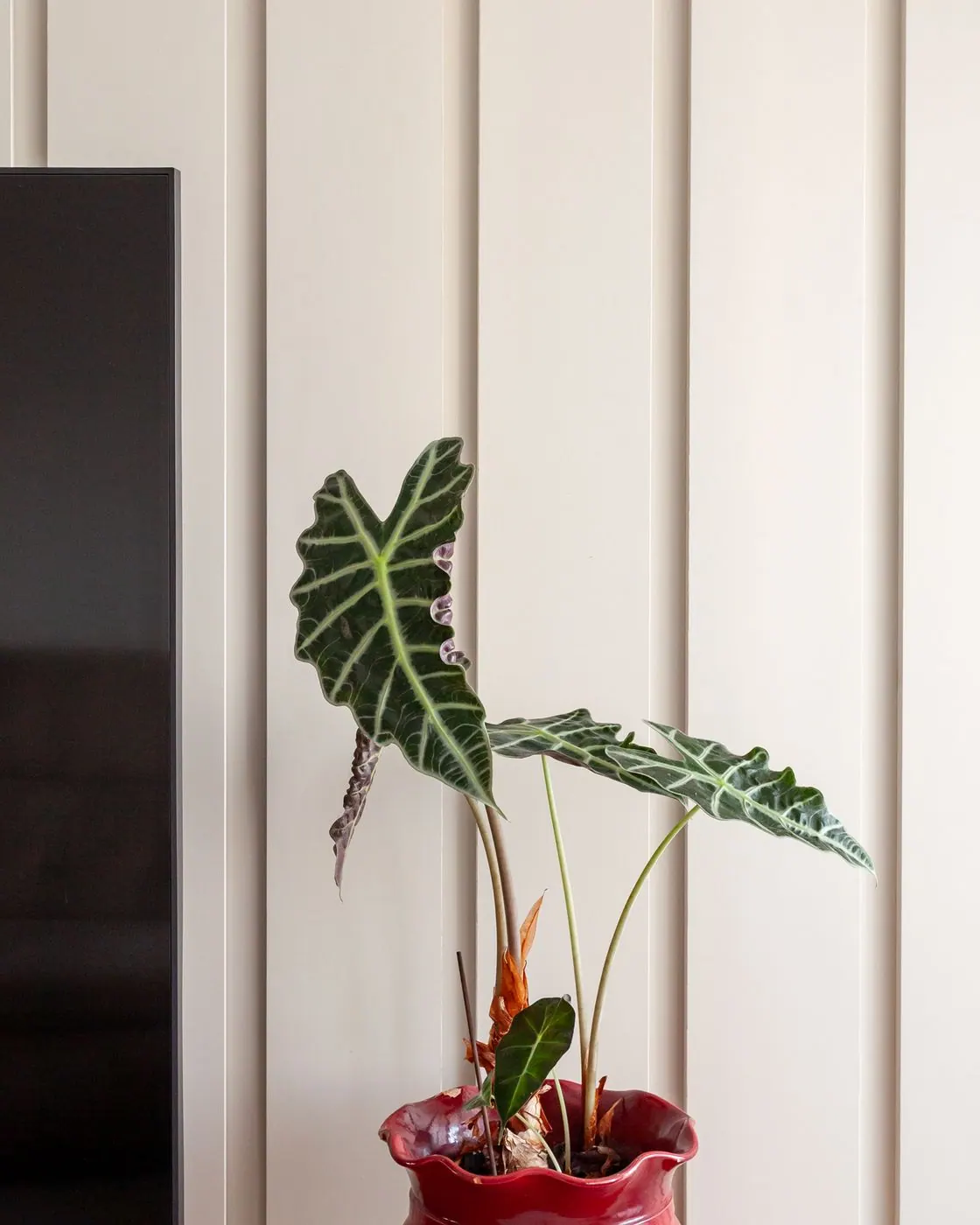 Detalhe do painel ripado com vaso de plantas